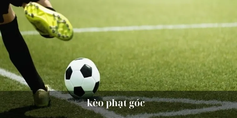 Chuyên Gia Chia Sẻ Cách Chơi Kèo Phạt Góc Bóng Đá Đỉnh Cao