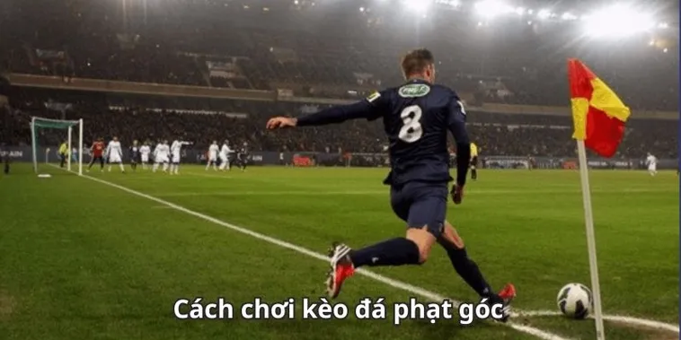 Chuyên Gia Chia Sẻ Cách Chơi Kèo Phạt Góc Bóng Đá Đỉnh Cao