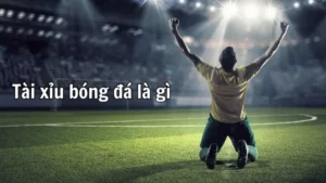 Hướng Dẫn Cách Chơi Kèo Tài Xỉu Bóng Đá Chuẩn Xác Nhất