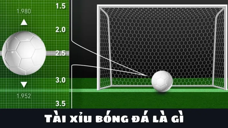 Hướng Dẫn Cách Chơi Kèo Tài Xỉu Bóng Đá Chuẩn Xác Nhất