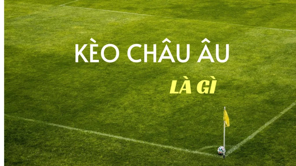 Cách Chơi Kèo Châu Âu Hiệu Quả Dựa Trên Xác Suất Thống Kê