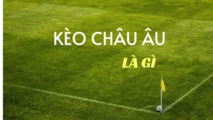Cách Chơi Kèo Châu Âu Hiệu Quả Dựa Trên Xác Suất Thống Kê