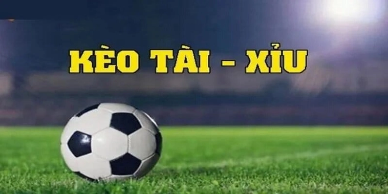 Hướng Dẫn Cách Chơi Kèo Tài Xỉu Hiệu Quả Nhất Cho Người Mới