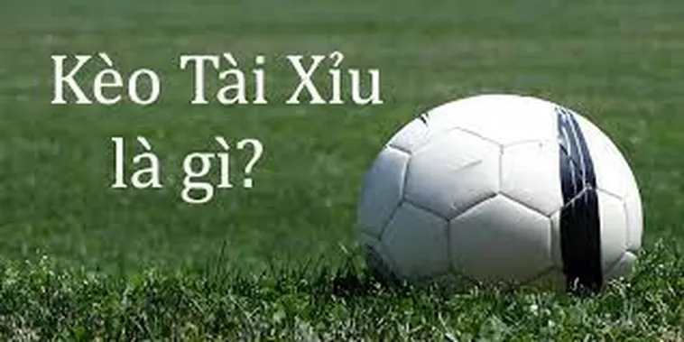 Hướng Dẫn Cách Chơi Kèo Tài Xỉu Hiệu Quả Nhất Cho Người Mới